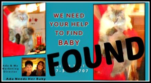 Updated Story: 11-22-15 Ada's Cat, Baby, has been found!